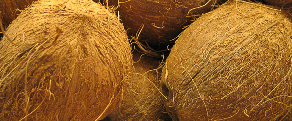 slider Coconut